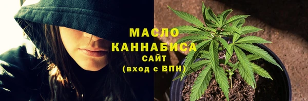 молекула духа Дмитровск