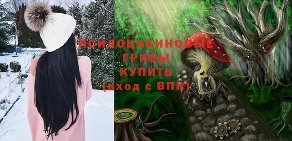 мескалин Дмитриев
