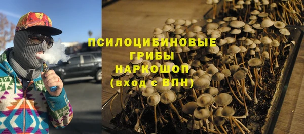 молекула духа Дмитровск