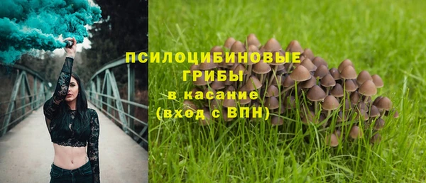 соль курить ск Дмитров