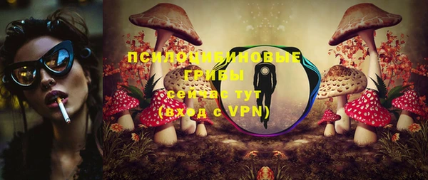 мескалин Дмитриев