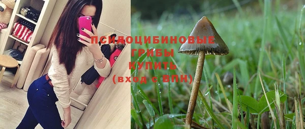 соль курить ск Дмитров